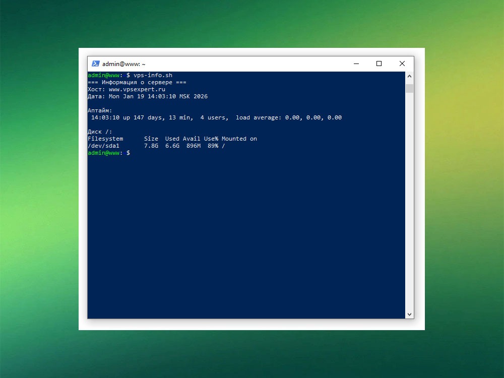 Запуск Bash-скрипта vps-info.sh в терминале
