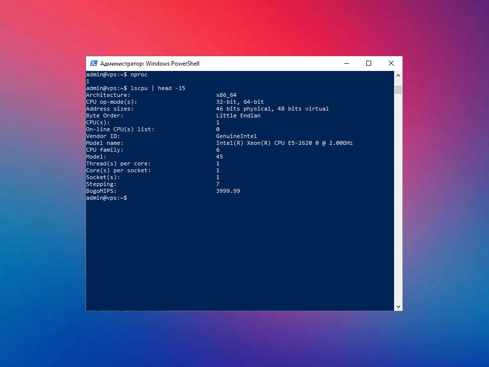 Проверка процессора VPS через nproc и lscpu Проверка процессора VPS через nproc и lscpu